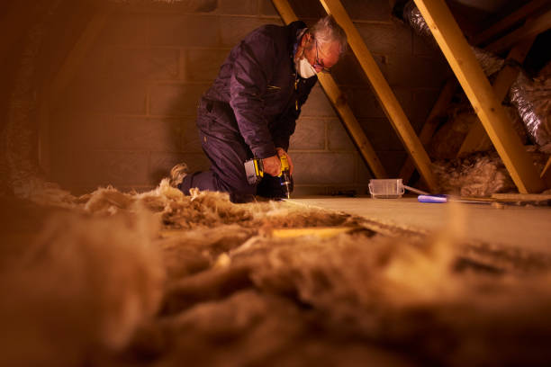 Best Specialized Insulation Services in Cedar Park, TX